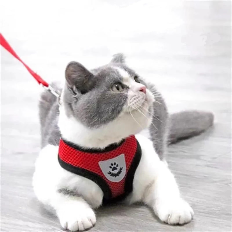 Coleira Gato Peitoral Cachorro Ajustável Refletivo Guia Coleira pet
